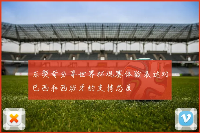 东契奇分享世界杯观赛体验表达对巴西和西班牙的支持态度